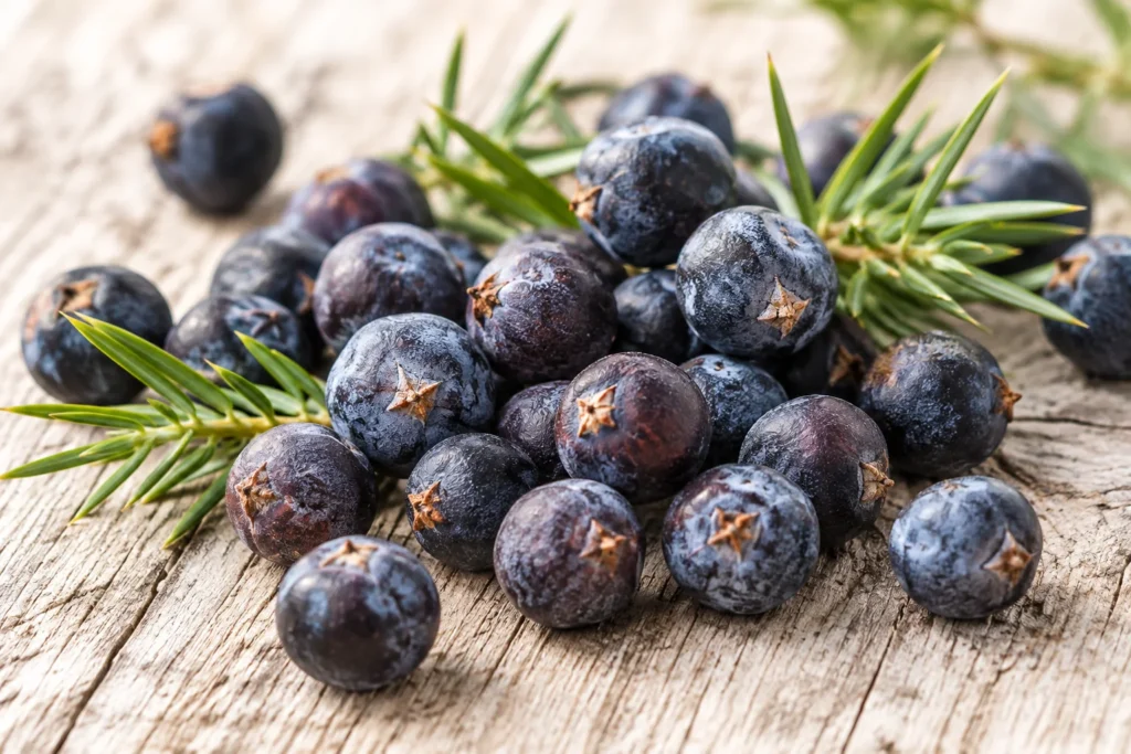Wacholderbeeren